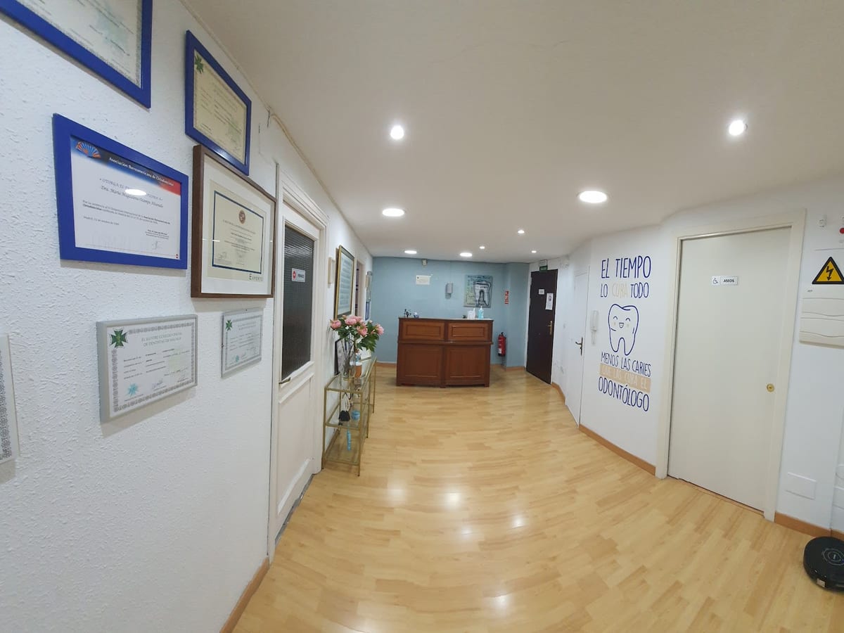 Dra. Magdalena Ocampo Alvarado, Dentista — foto 2